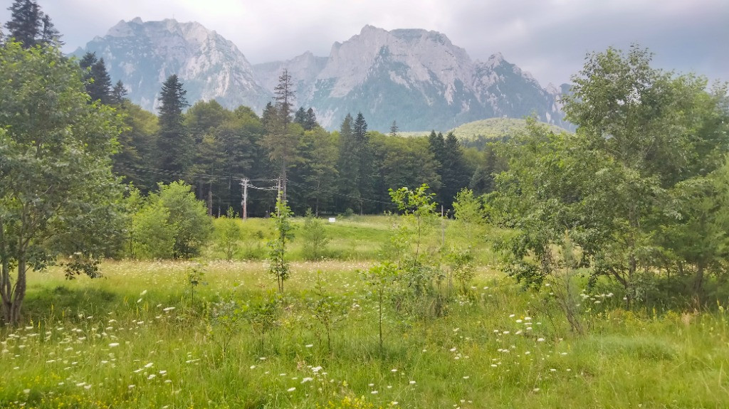 Bușteni apartament 2 camere cochet in vila tip boutique! 6min. centru