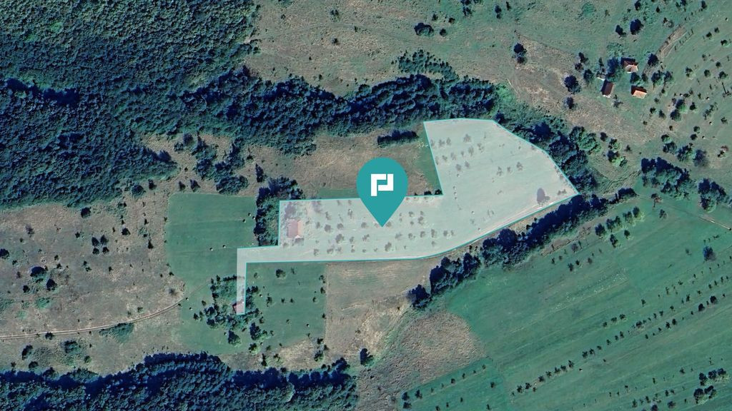 Teren de 92294 in Halmagiu