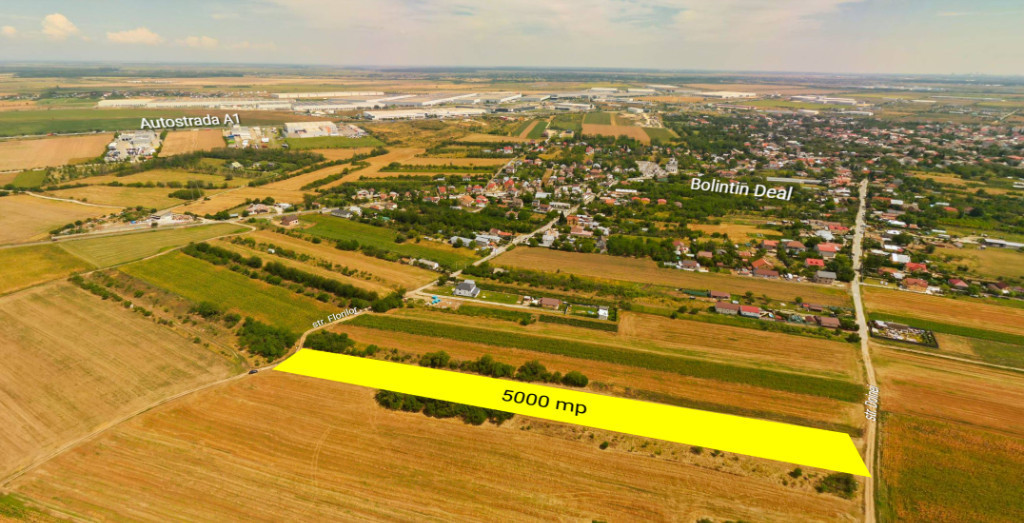 Teren intravilan construibil Bolintin Deal 5000 mp – dublă deschidere