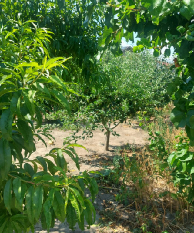 Casă în centrul Cobadinului, COMISION 0%