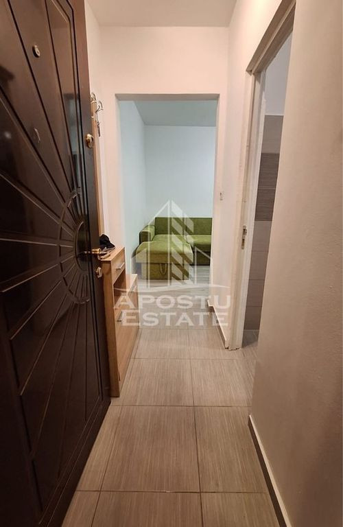 Apartament de inchiriat 2 canere sagului, pet frandly