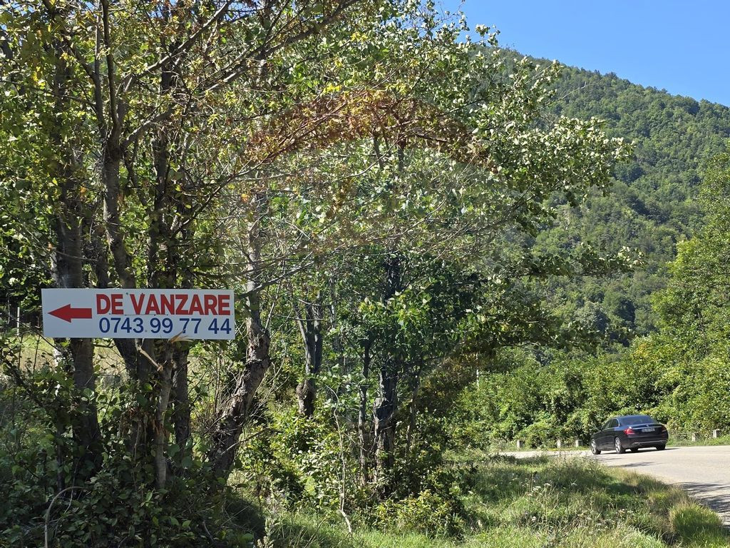 Teren 4,000mp Pascoaia / Soseaua Punctul Chiliilor