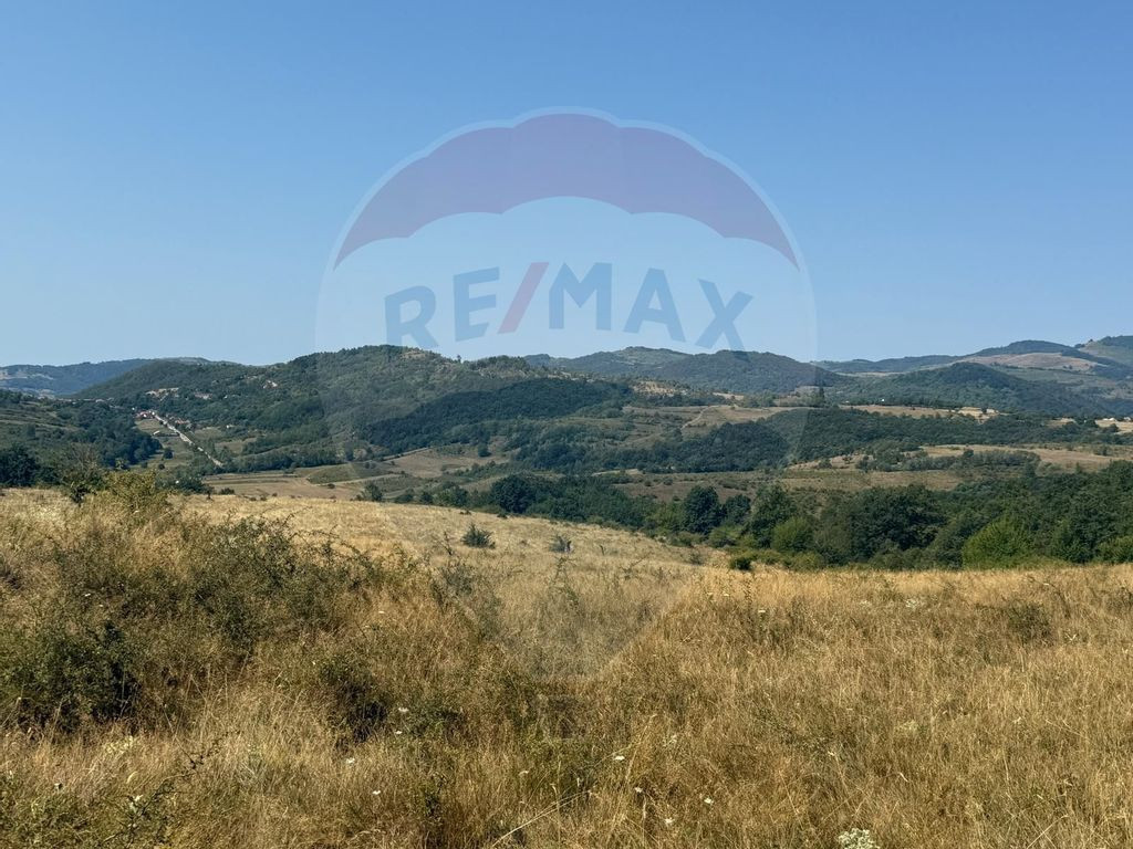 Teren 20,000mp Drobeta Turnu-Severin / Aleea La bogobia