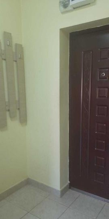 Fizicienilor vitan auchan