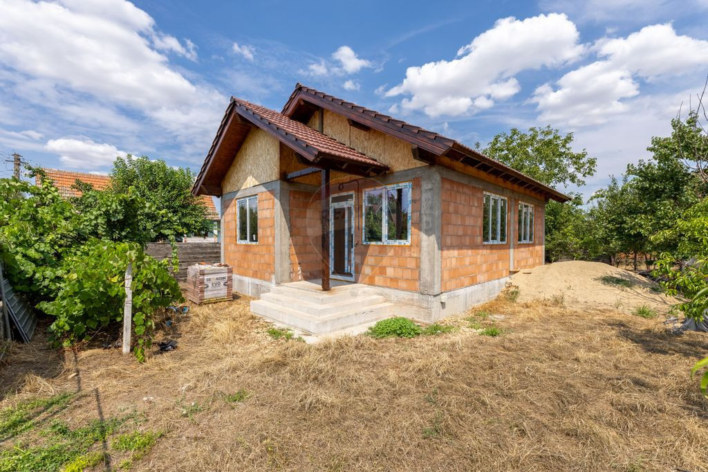 Casă cu 3 camere la rosu, in Vladimirescu de vanzare