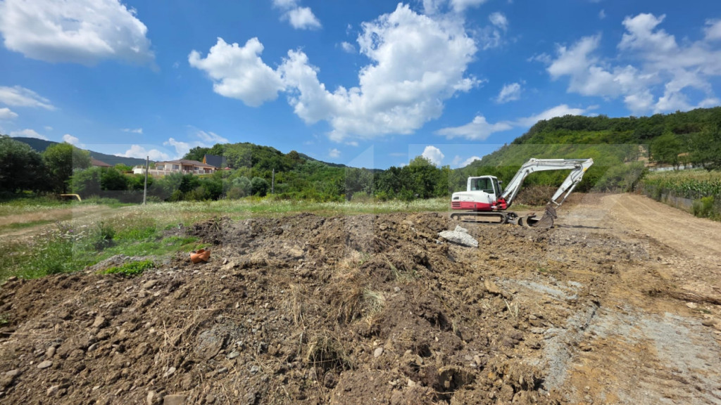 45arii Zona linistita zona linistita langa padure