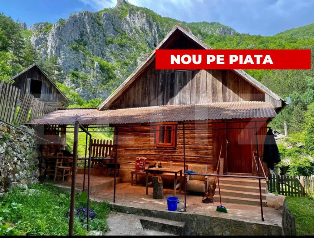 Casa de vacanta,3300 mp teren,Intregalde