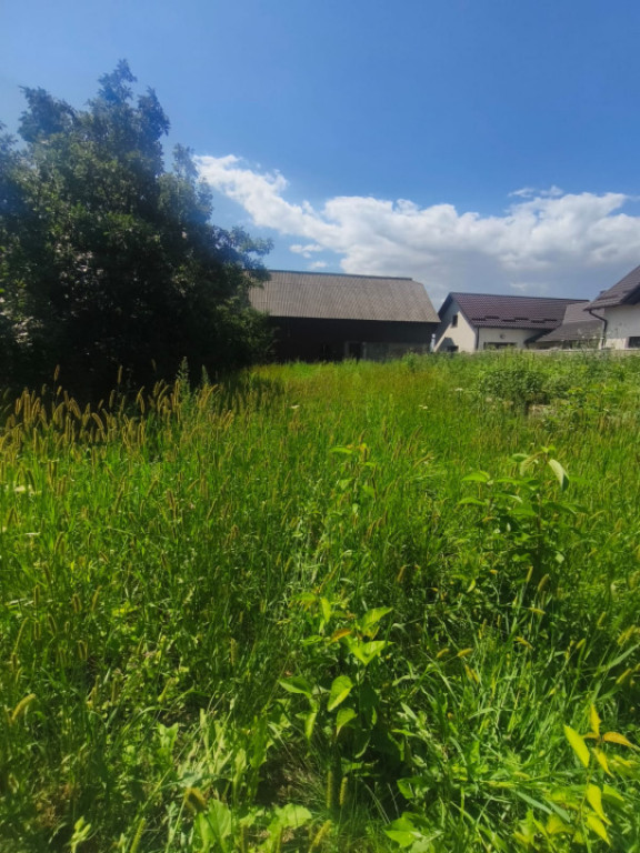 Teren intravilan, 10000mp, zona Maneuti, Radauti