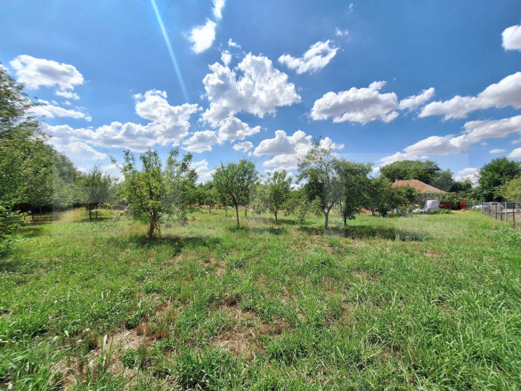 Casa/Vila cu 6 camere ideala rezidential/comerical Ciarda...