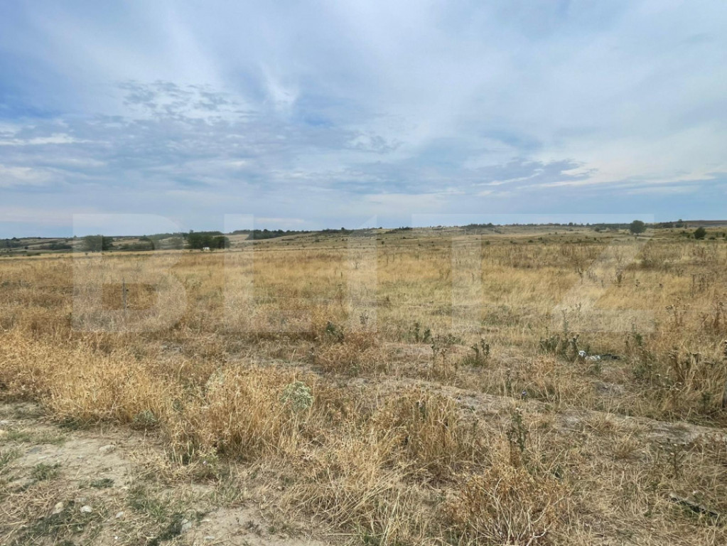 Oportunitate excelentă de investiție în zonă în dezvolt