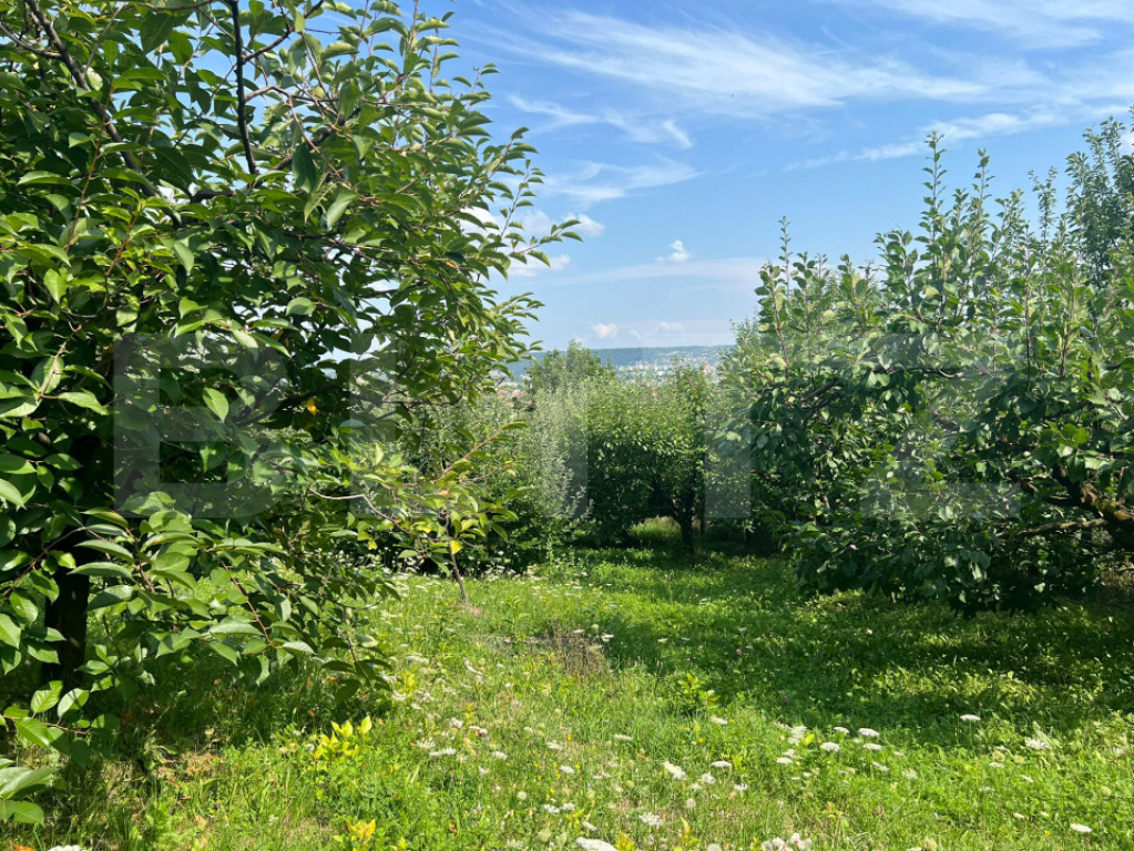 Teren intravilan 1418 mp Sâncraiu de Mureș – panoramă o