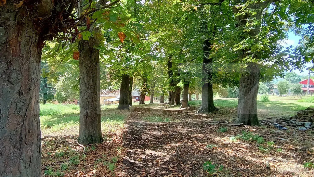 Teren intravilan 18.449 mp – Paingeni | 7,5 €/mp | Veder