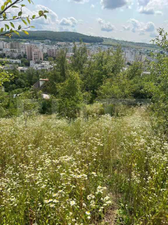 Casă Str. Negoiului, 2.249 mp teren, zonă liniștită, ved