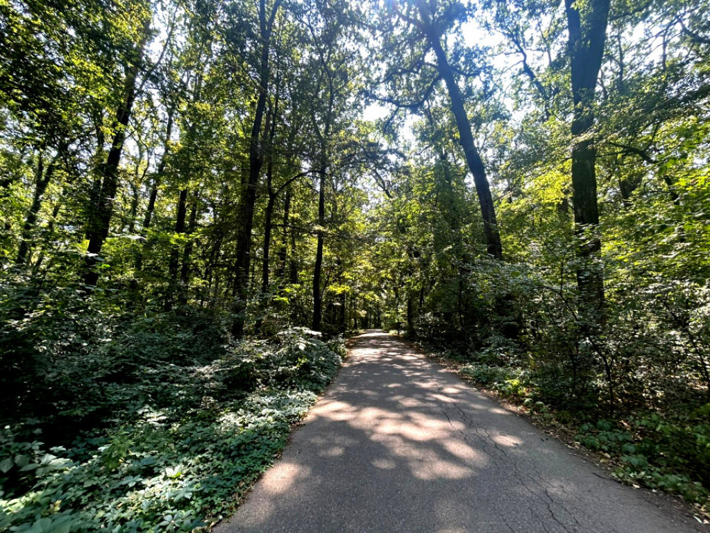 Teren de Vis pe malul lacului Snagov / 4000 mp in inima Natu