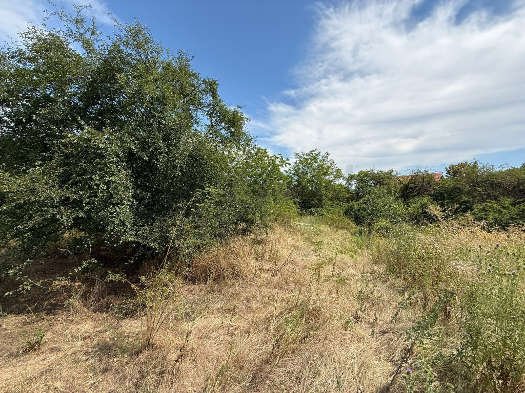 Teren I De I Domnesti