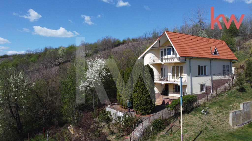 Oază de Liniște | Casă cu Vedere Panoramică – Leamna,