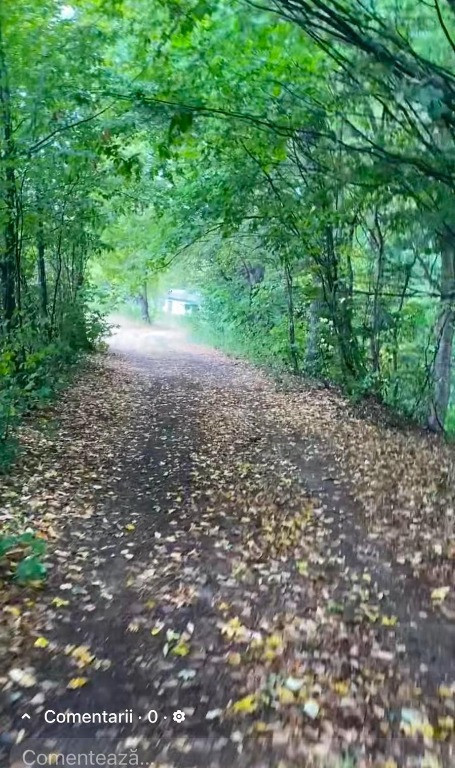 Teren de vanzare zona de munte