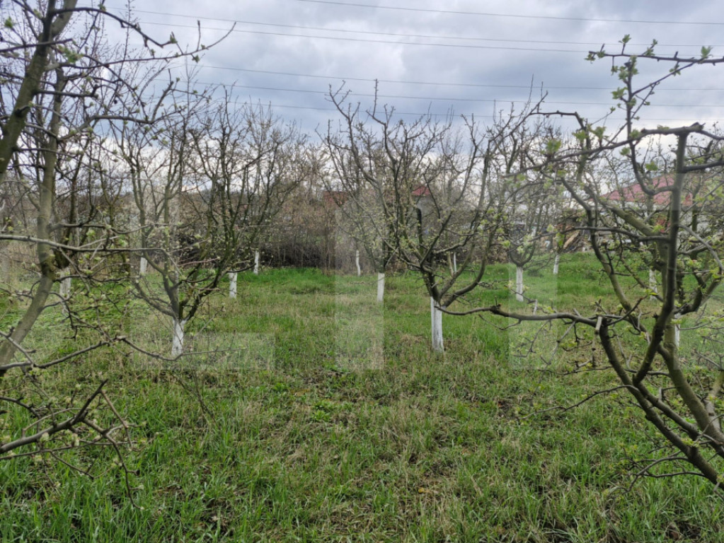 Teren de 2700 mp, deschiderea la strada principala, Borscaut