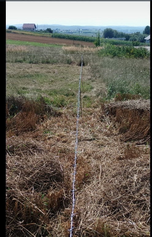 Teren 5 Ari Zona Moara