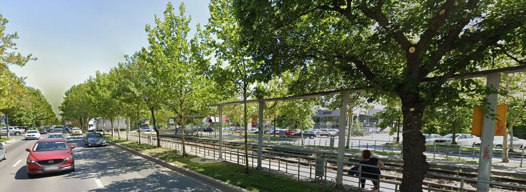 Zona Paladdy 78 mp trafic intens pietonal