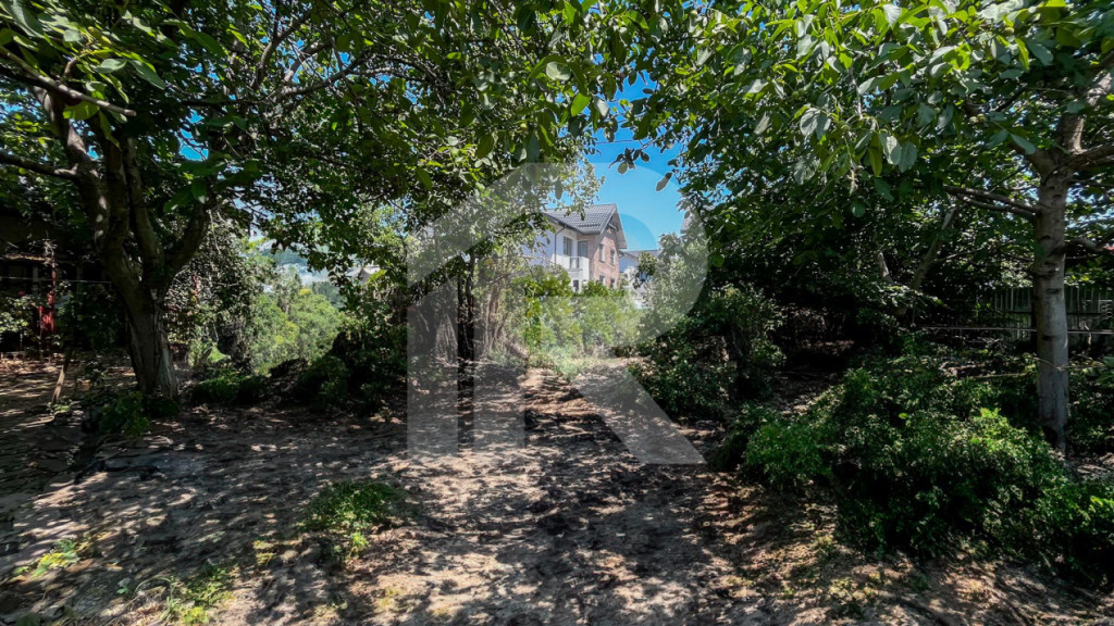 POVESTE DE FAMILIE, IN INIMA DOBROESTIULUI