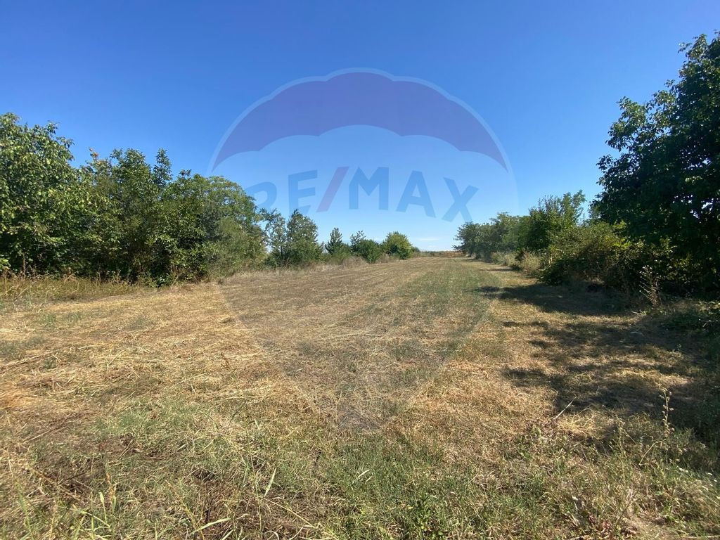 Teren de vanzare, 25km de București, Sinești, loc. Lilieci