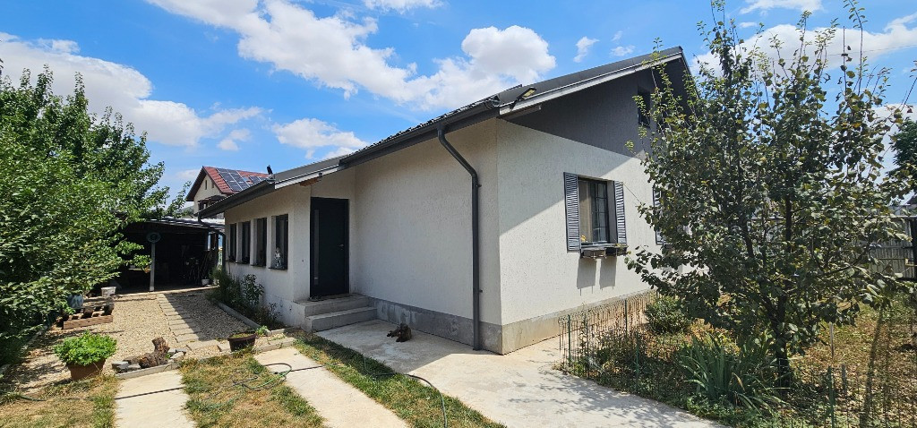 Casa parter + pod - Berceni