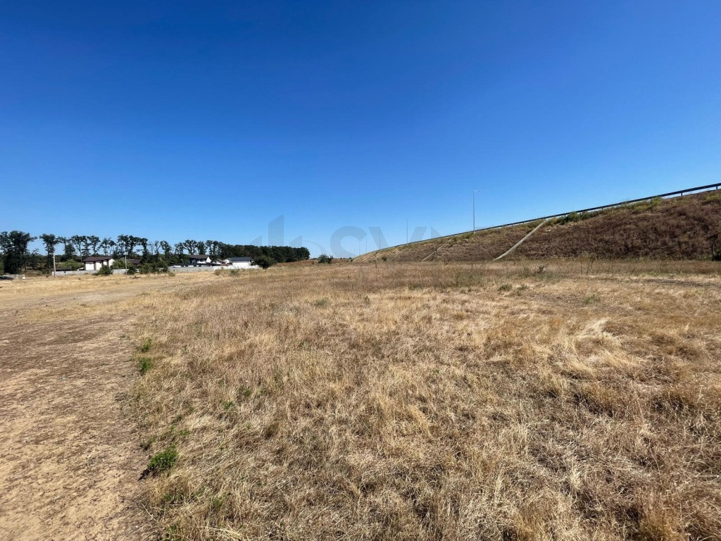 Teren de in Branesti