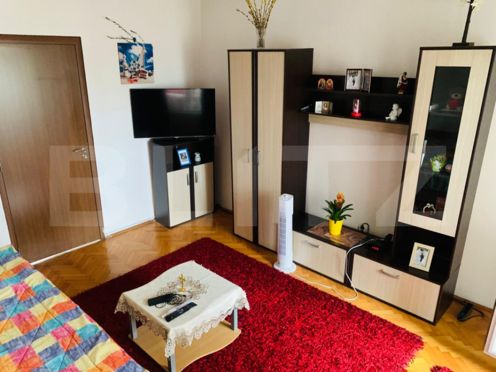 Apartament 1 cameră, Tudor