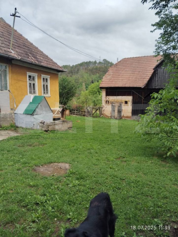 Casă la țară de vânzare, teren de 6000 mp – Cacova Ier