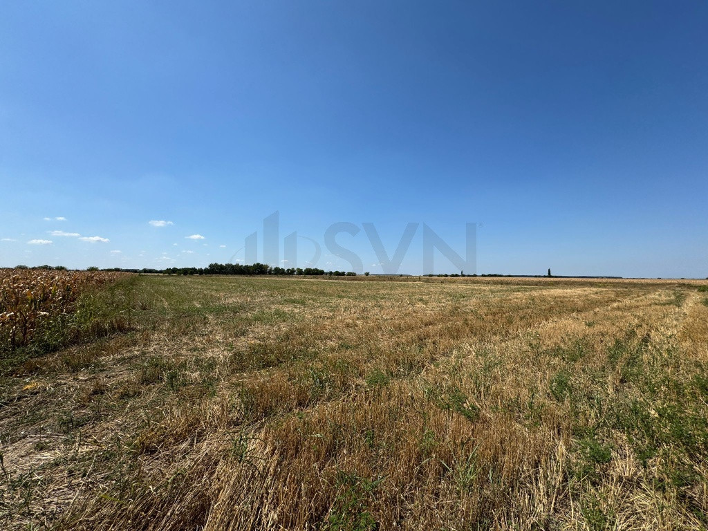 Teren de in Otopeni l 26000MP