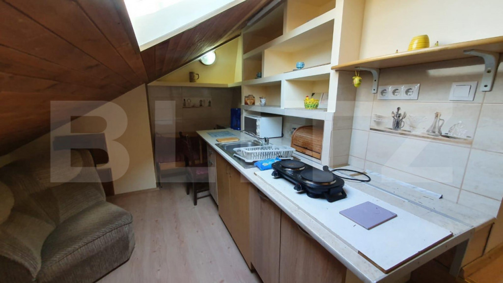 Apartament la casa,1 camera, 30 mp, zona strazii Artelor