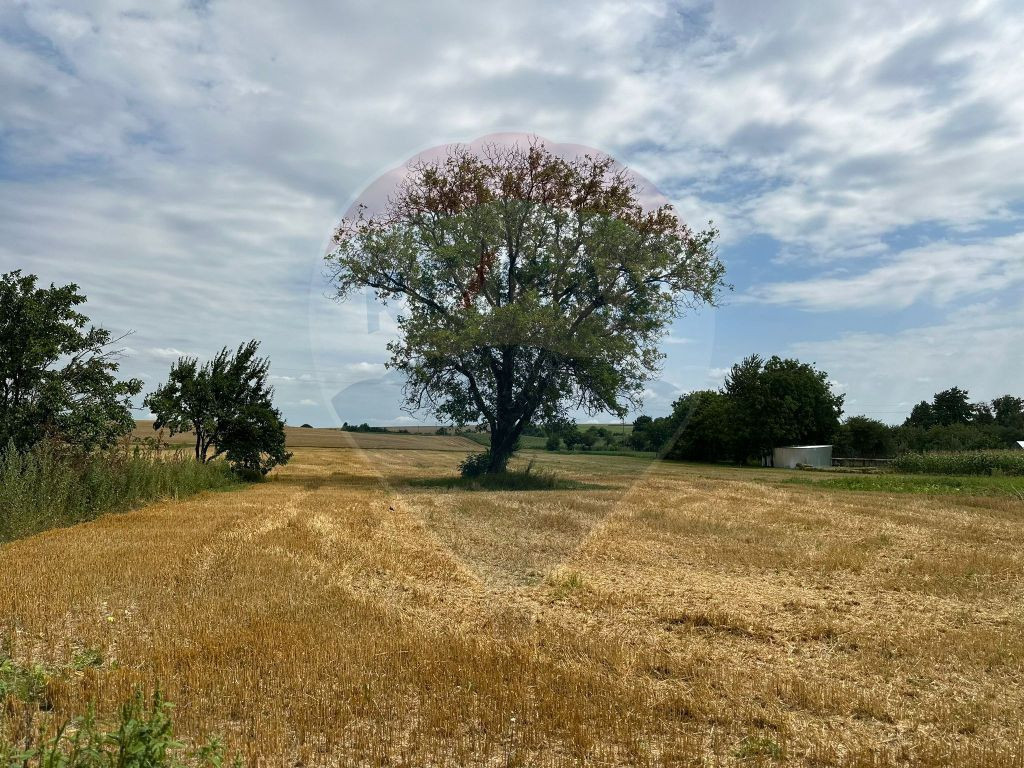 Casa si teren intravilan 4.779 mp Girov, Neamț