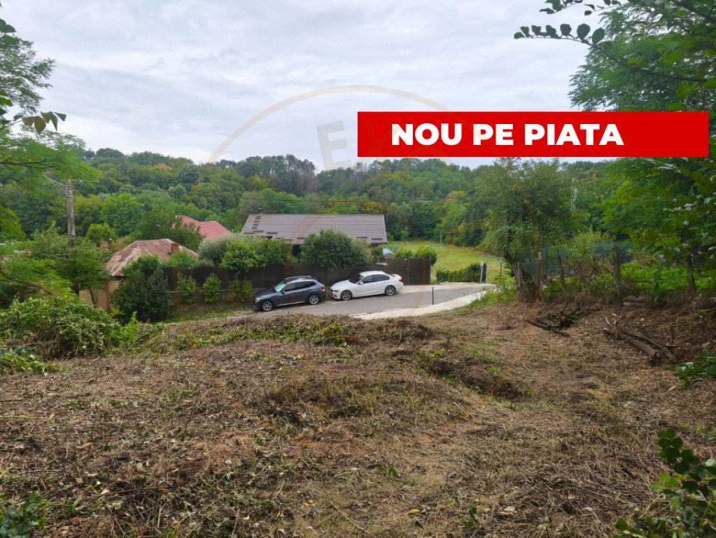 Teren 2552 mp Mosoaia Hintesti -Strada Basangesti