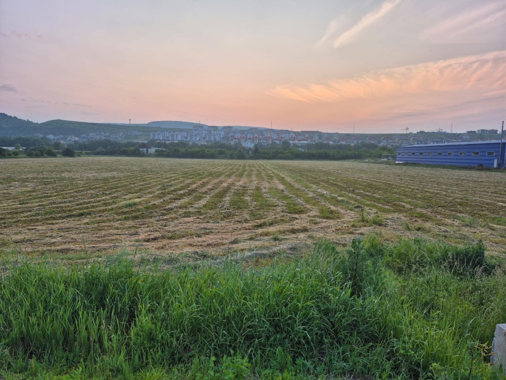 Teren intravilan de vânzare – Calea Baciului – 5.000 mp