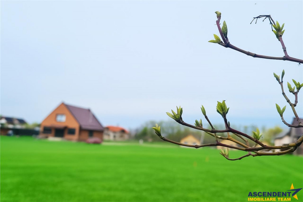 Teren 1.700 mp intravilan, natura, vecinatati bune, potentia