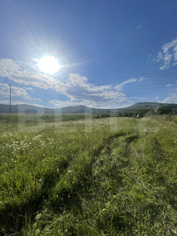 Teren intravilan Viișoara – ideal pentru casă sau invest