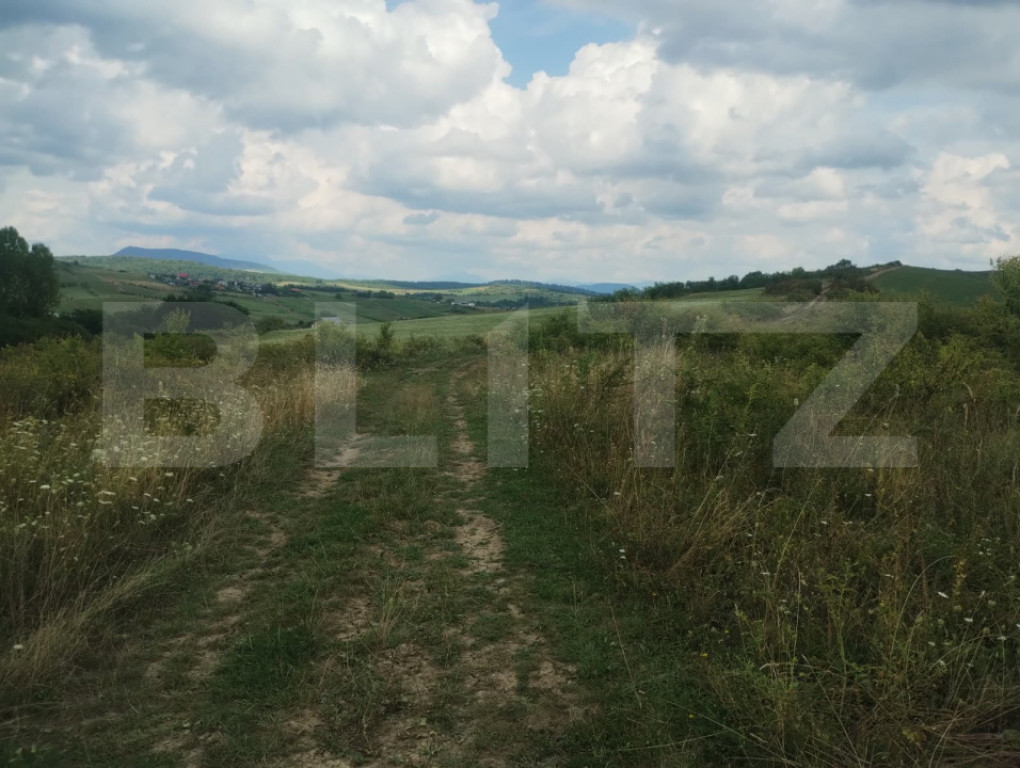 Teren extravilan, 51 ari,zona Sigmir