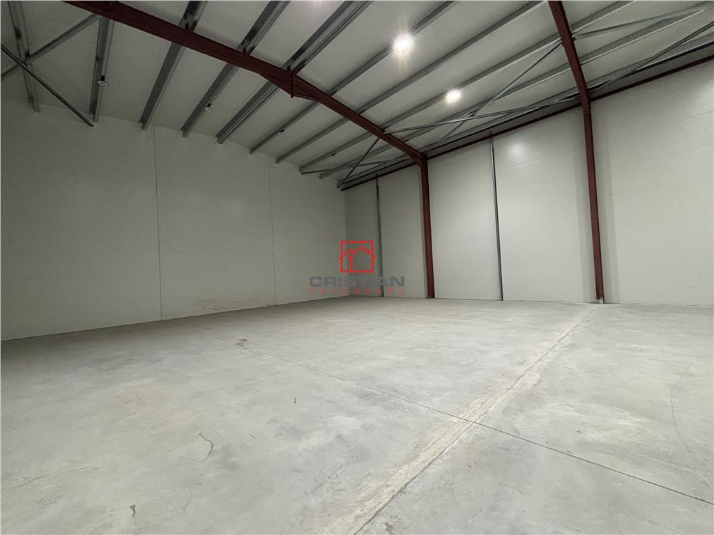 Depozit/hala/spatiu industrial Theodor Pallady - Drumul Int