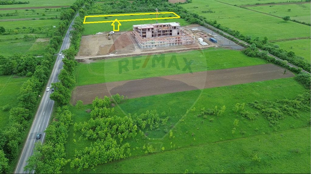 Teren 4,000mp Cicarlau / Strada Principala intravilan