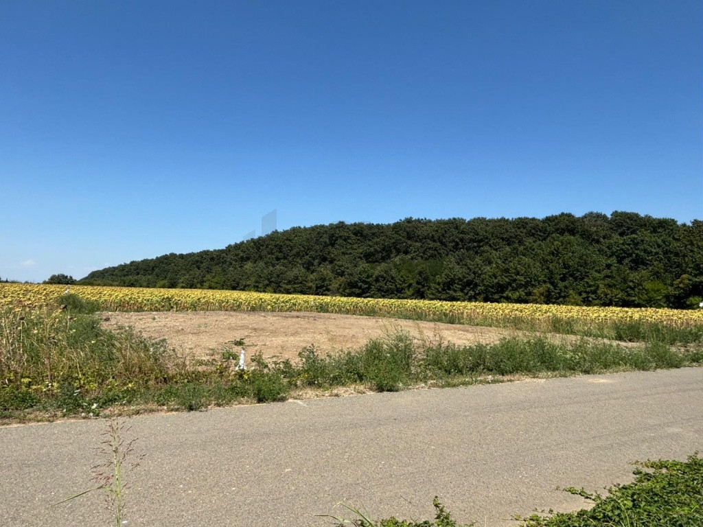 Teren de 400m langa padure