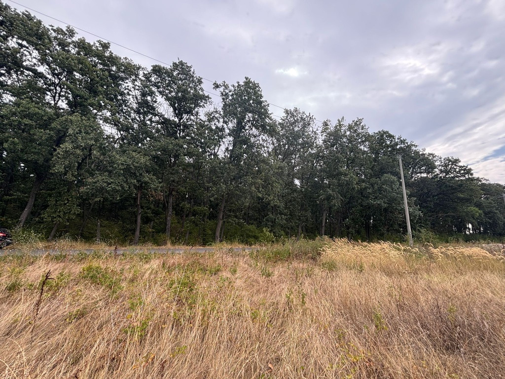 Teren de 3500 mp la padurea Petresti