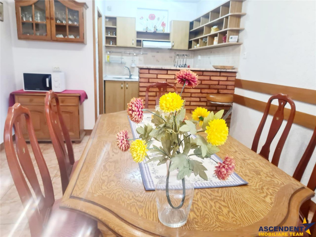 Vila cu 6 camere si garaj propriu, Centrul Istoric Drumul Po