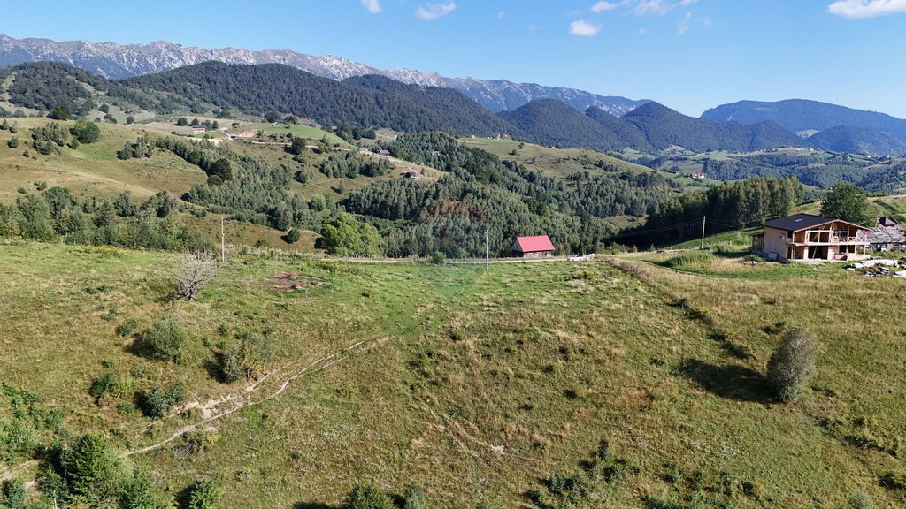 REZERVAT Comision 0% | Teren Extravilan cu PUZ în lucru |