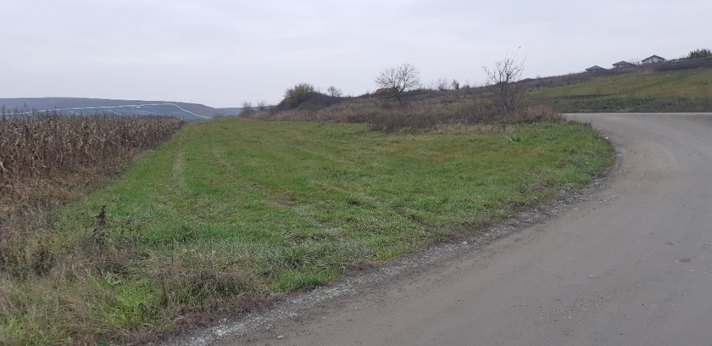 8000mp teren intravilan in cluj