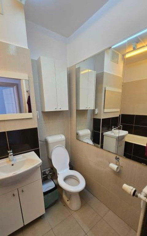 Timpuri noi tineretului piscului facultati