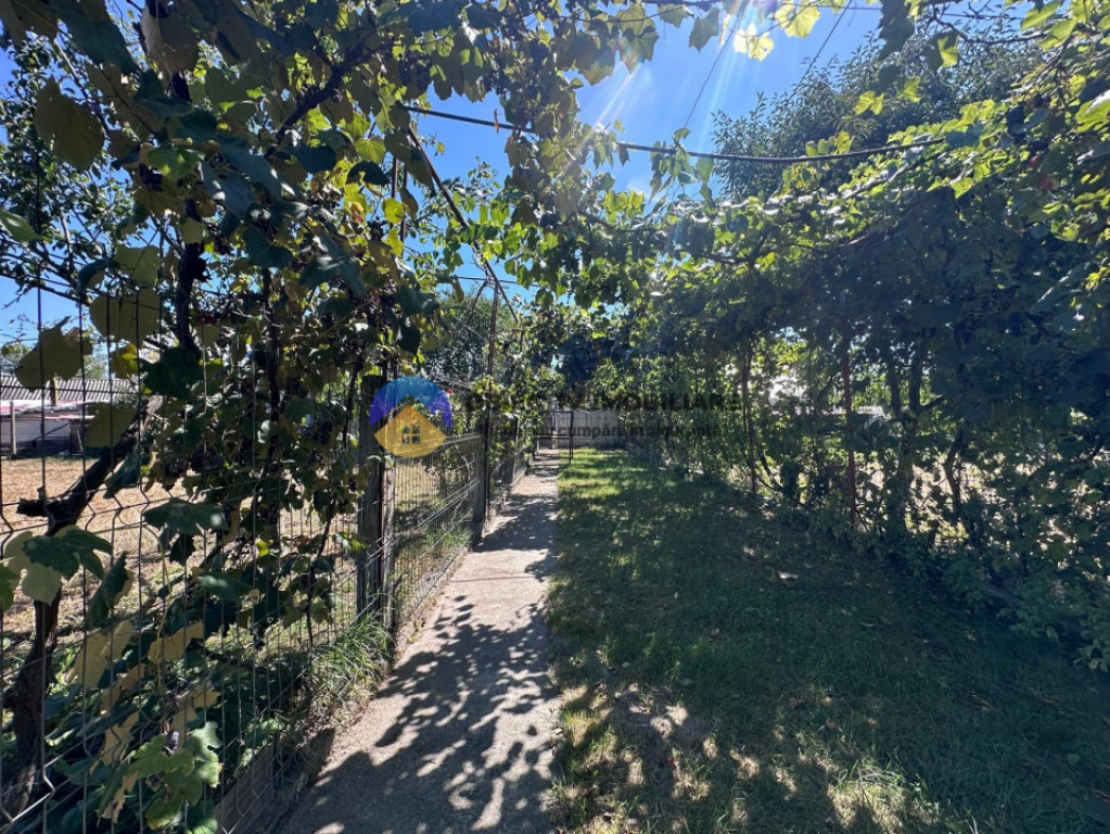 Casa + teren de vânzare - Zănești