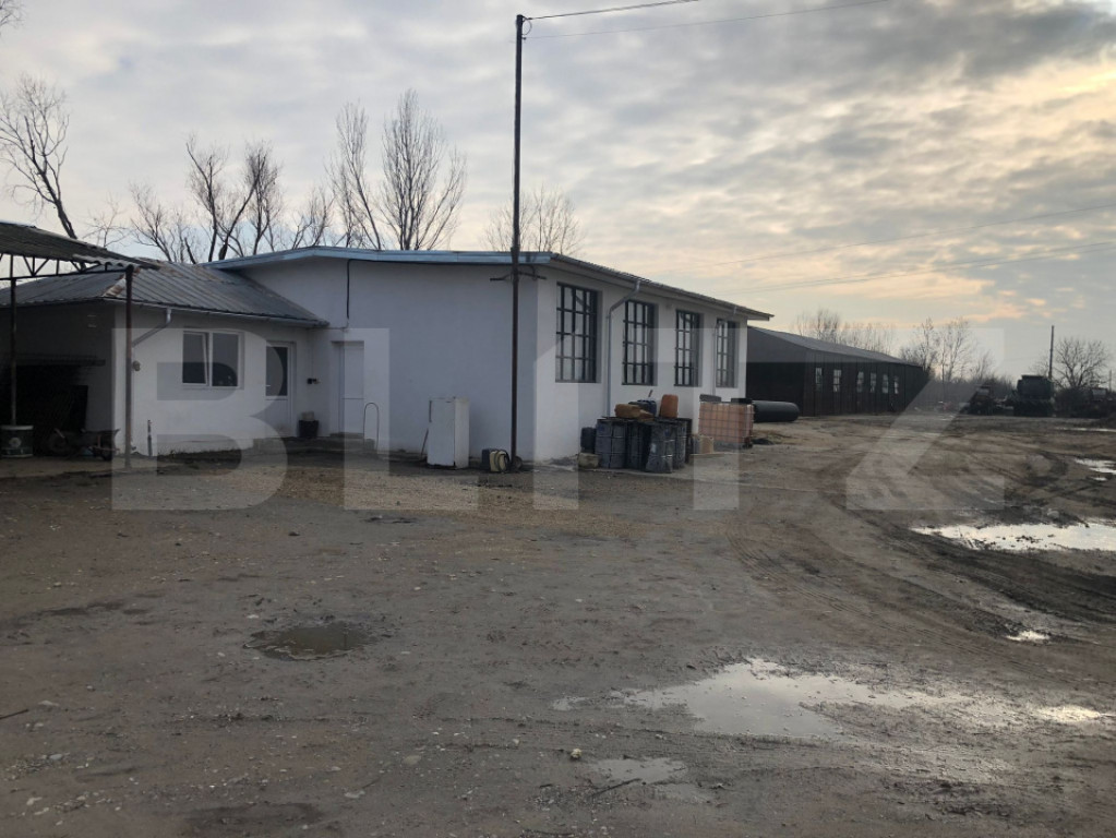 Proprietate de vânzare – 8000 mp teren + construcții și