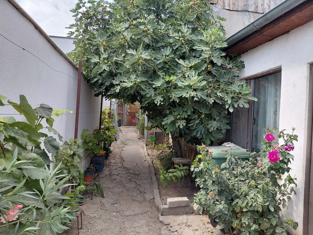 Casa Galati zona Parcul Carol