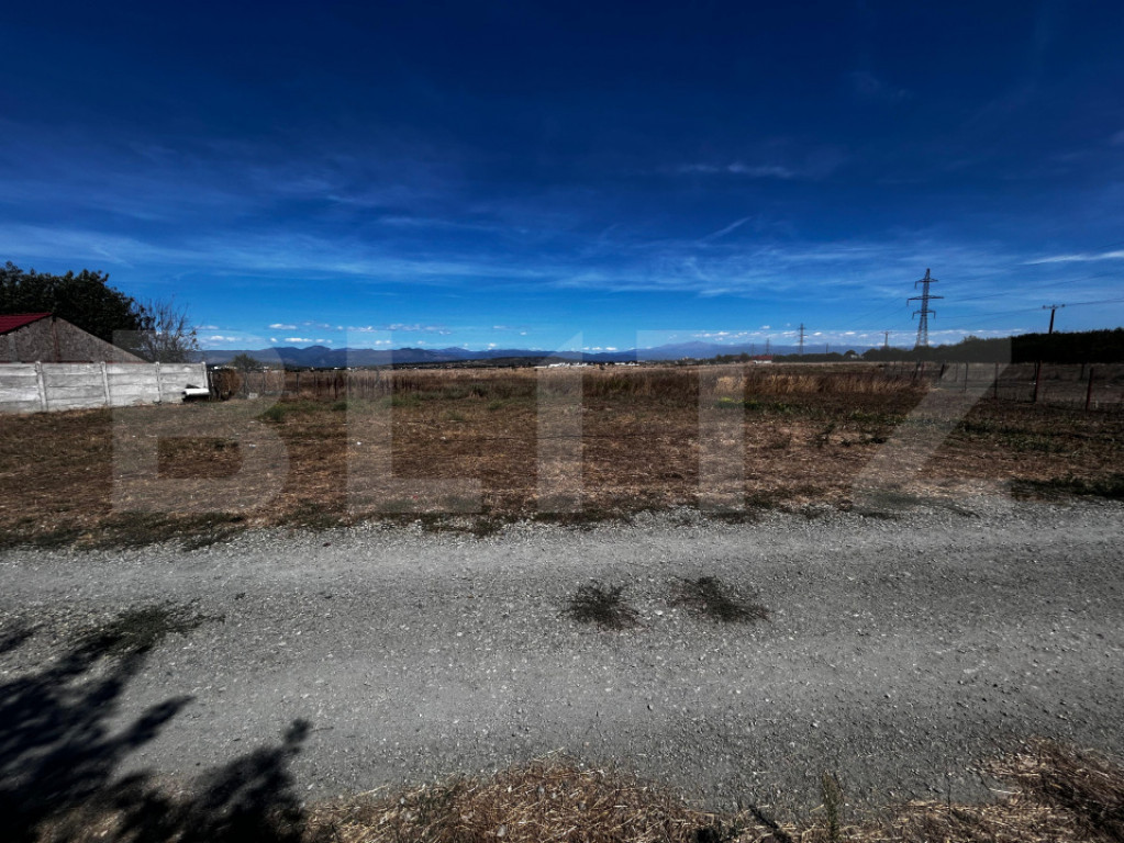 Teren Prelungirea Panduri